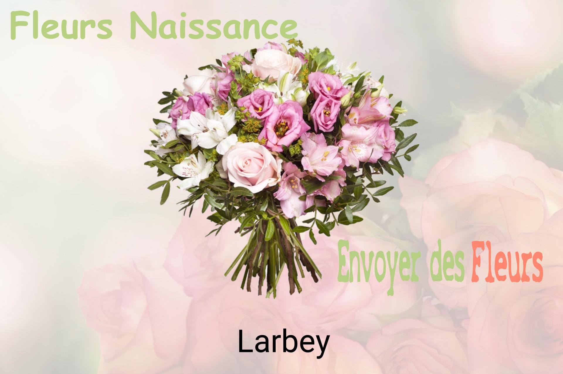 Bouquet de fleurs de naissance livré à Larbey
